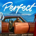 Perfect Lyrics- Gurinder Rai ft. Badshah | New Punjabi Song